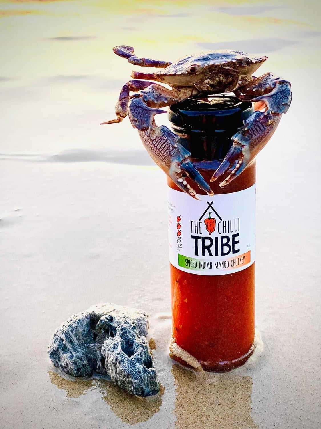 The Chilli Tribe Hall of Flame